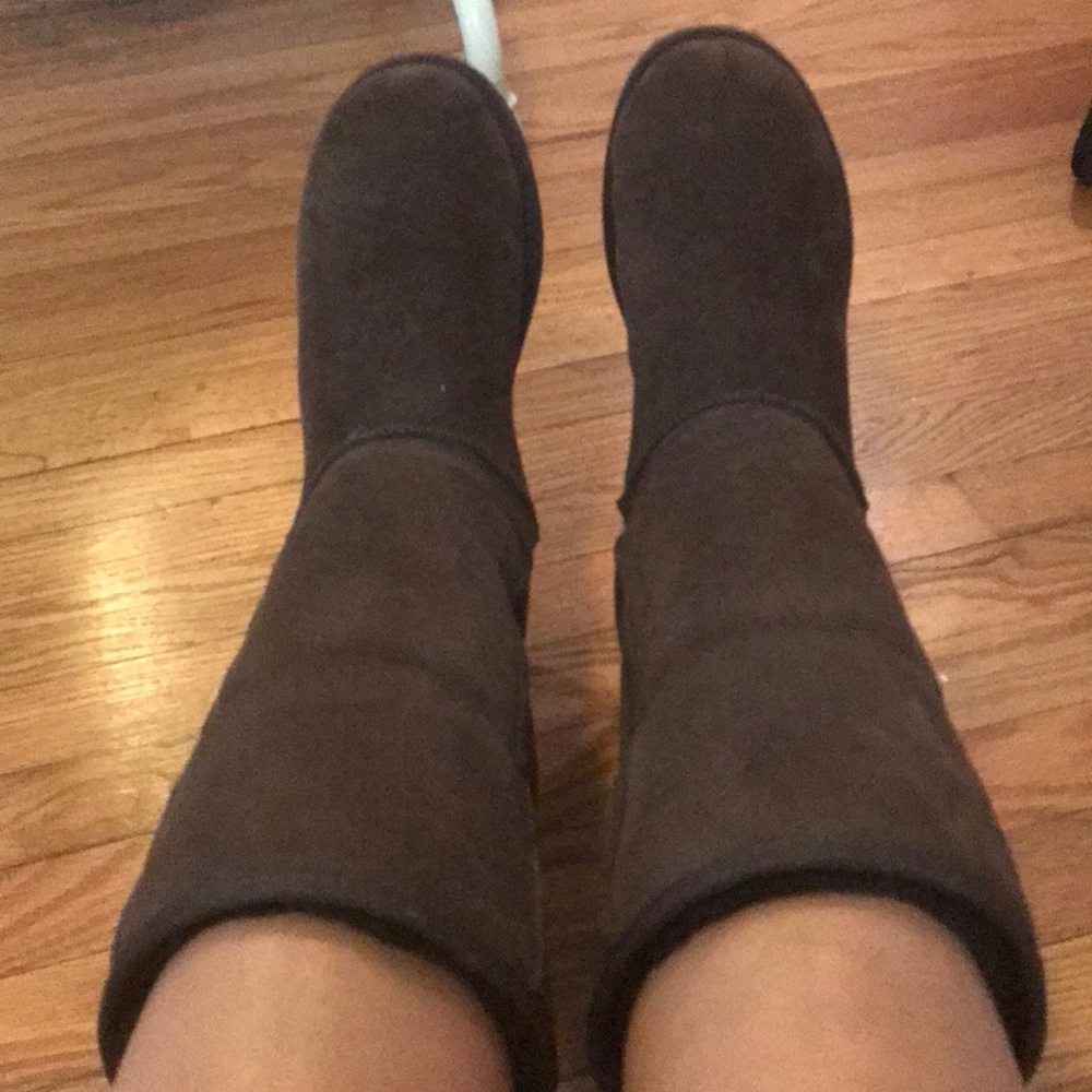 NWOT Brown Classic Tall Ugg Boots